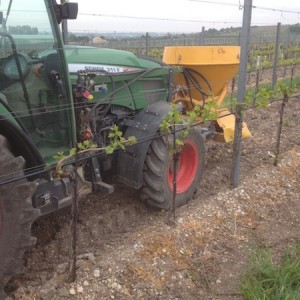 Bodenaktivator für den Weinbau(2)